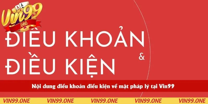 Nội dung điều khoản điều kiện về mặt pháp lý tại Vin99