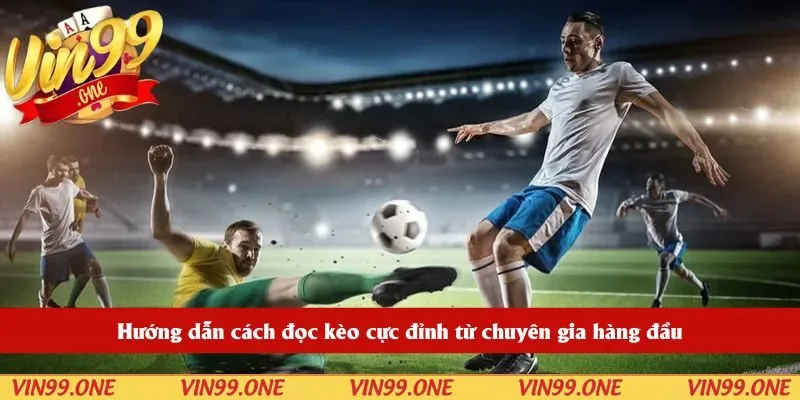 Hướng dẫn cách đọc kèo cực đỉnh từ chuyên gia hàng đầu