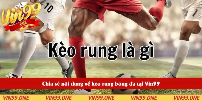 Chia sẻ nội dung về kèo rung bóng đá tại Vin99