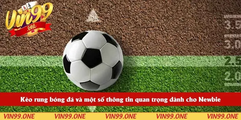 Kèo rung bóng đá