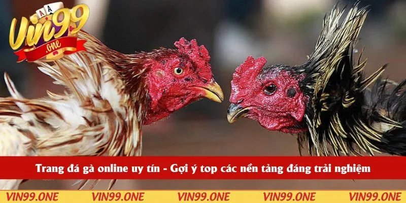 Trang đá gà online